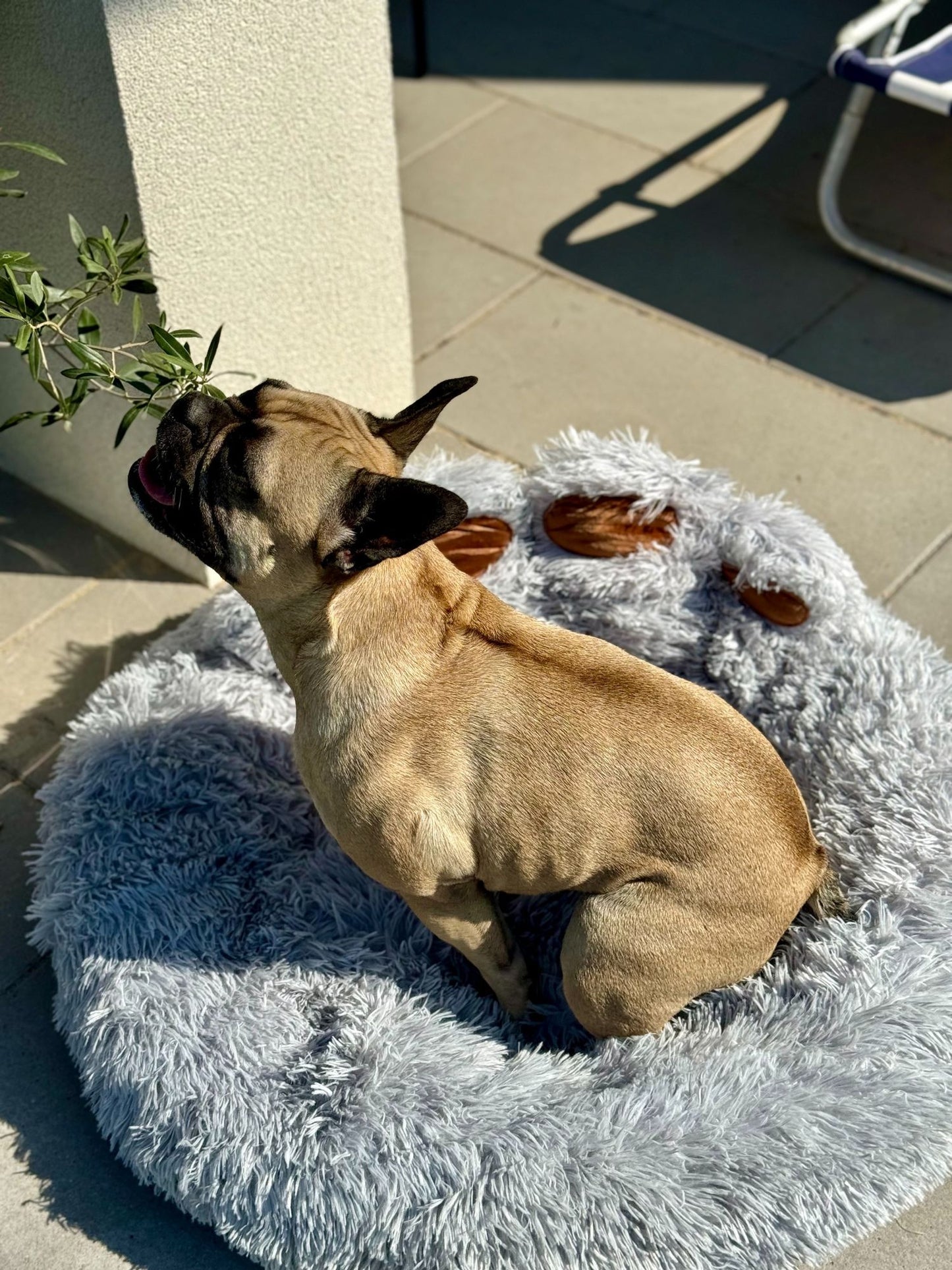 PLUSZOWE OKRĄGŁE LEGOWISKO kojec DLA PSA KOTA poduszka posłanie 80x80