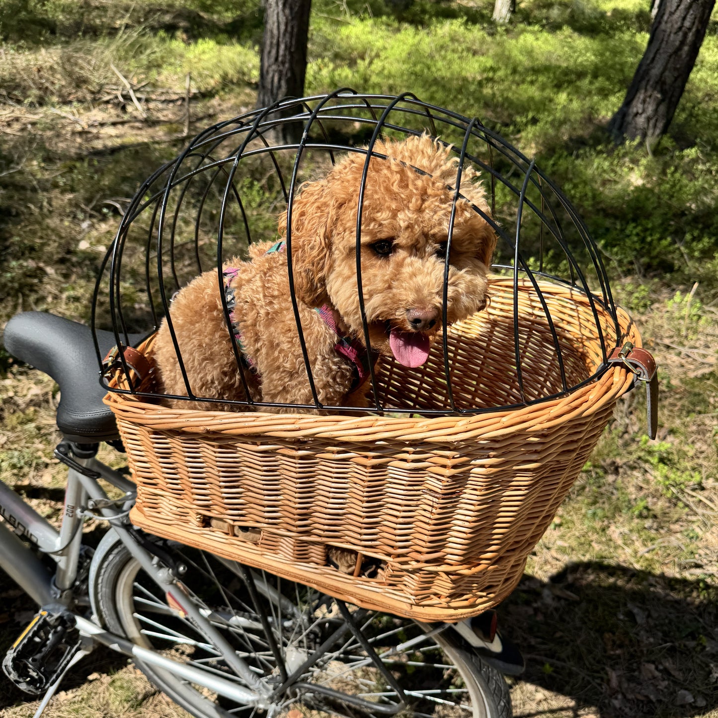 Kosz Wiklinowy na Rower – Transporter na Bagażnik z Poduszką